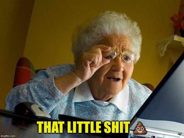 Grandma Finds The Internet Meme | THAT LITTLE SHIT  | image tagged in memes,grandma finds the internet | made w/ Imgflip meme maker