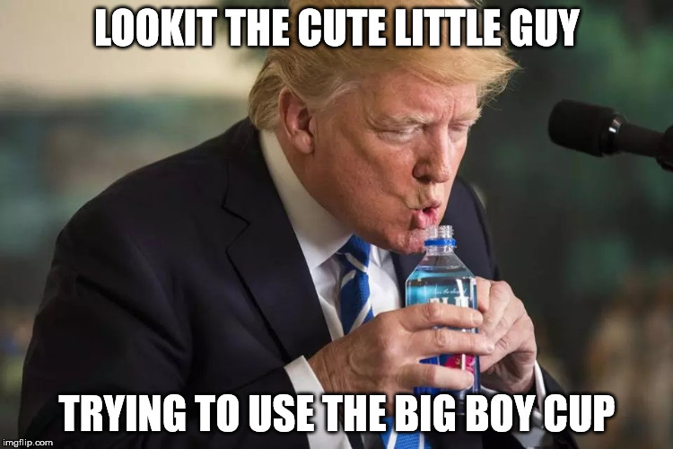 Awww...He almost doesn't need his sippy cup anymore. | LOOKIT THE CUTE LITTLE GUY; TRYING TO USE THE BIG BOY CUP | image tagged in trump water | made w/ Imgflip meme maker