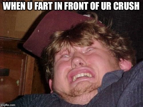 WTF | WHEN U FART IN FRONT OF UR CRUSH | image tagged in memes,wtf | made w/ Imgflip meme maker
