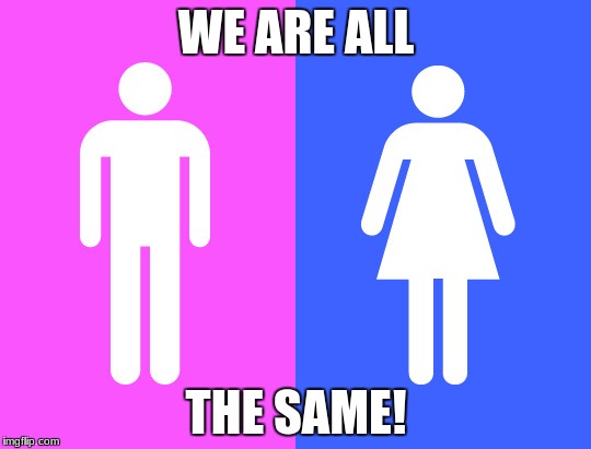 WE ARE ALL; THE SAME! | image tagged in gender | made w/ Imgflip meme maker