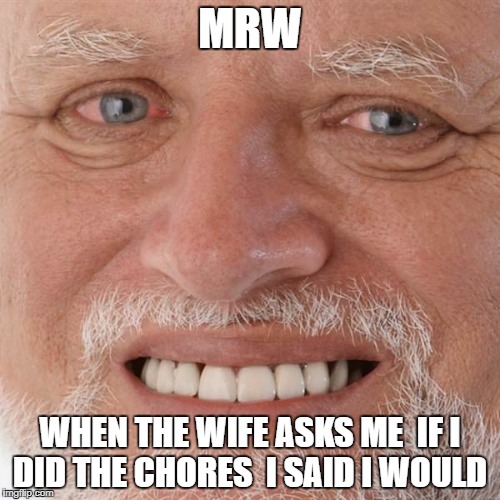 every married man | MRW; WHEN THE WIFE ASKS ME 
IF I DID THE CHORES  I SAID I WOULD | image tagged in funny memes | made w/ Imgflip meme maker