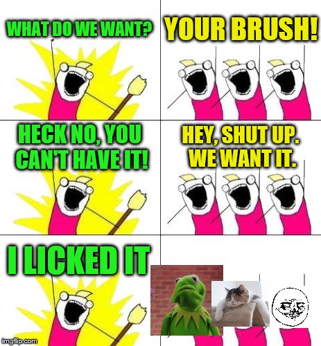 When your bois are want your brush for no apparent reason | WHAT DO WE WANT? YOUR BRUSH! HECK NO, YOU CAN'T HAVE IT! HEY, SHUT UP. WE WANT IT. I LICKED IT | image tagged in memes,what do we want 3,brush,eww | made w/ Imgflip meme maker
