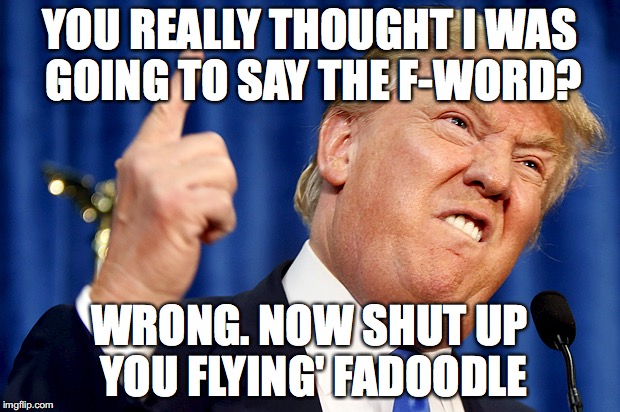 Donald Trump | YOU REALLY THOUGHT I WAS GOING TO SAY THE F-WORD? WRONG. NOW SHUT UP YOU FLYING' FADOODLE | image tagged in donald trump | made w/ Imgflip meme maker