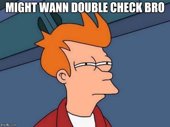 Futurama Fry Meme | MIGHT WANN DOUBLE CHECK BRO | image tagged in memes,futurama fry | made w/ Imgflip meme maker