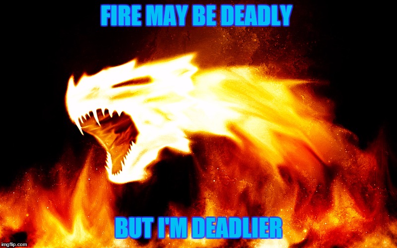 FIRE MAY BE DEADLY; BUT I'M DEADLIER | image tagged in firefox omg's meme | made w/ Imgflip meme maker