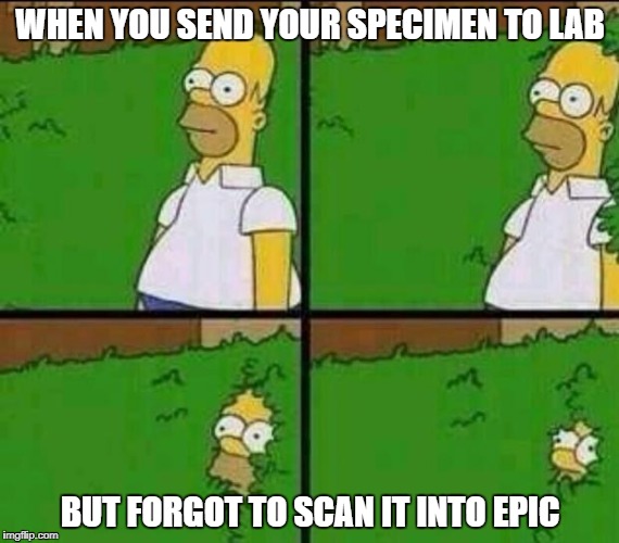 Homer Simpson in Bush - Large | WHEN YOU SEND YOUR SPECIMEN TO LAB; BUT FORGOT TO SCAN IT INTO EPIC | image tagged in homer simpson in bush - large | made w/ Imgflip meme maker