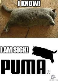Puma | I KNOW! I AM SICK! | image tagged in memes | made w/ Imgflip meme maker