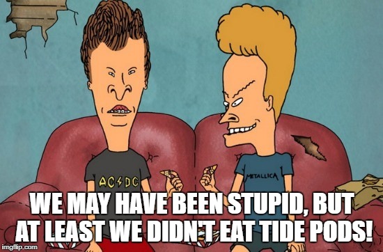 WE MAY HAVE BEEN STUPID, BUT AT LEAST WE DIDN'T EAT TIDE PODS! | image tagged in beavis and butthead,tide pods | made w/ Imgflip meme maker