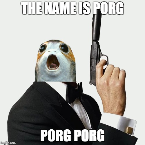 The Name is Porg, Porg Porg | THE NAME IS PORG; PORG PORG | image tagged in star wars | made w/ Imgflip meme maker