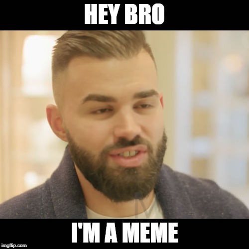 HEY BRO; I'M A MEME | image tagged in theo babajanian | made w/ Imgflip meme maker