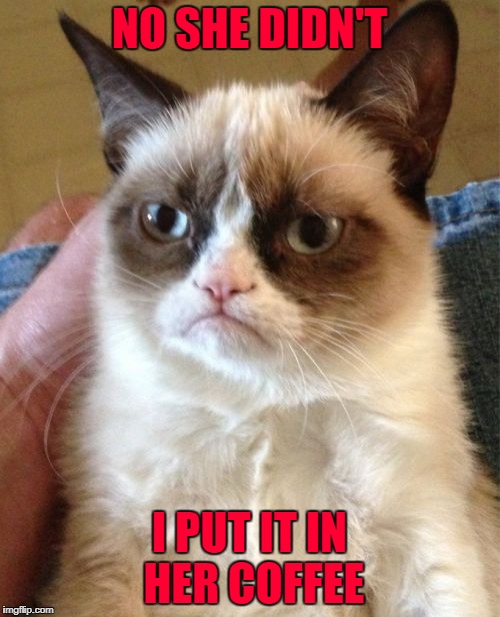 Grumpy Cat Meme | NO SHE DIDN'T I PUT IT IN HER COFFEE | image tagged in memes,grumpy cat | made w/ Imgflip meme maker