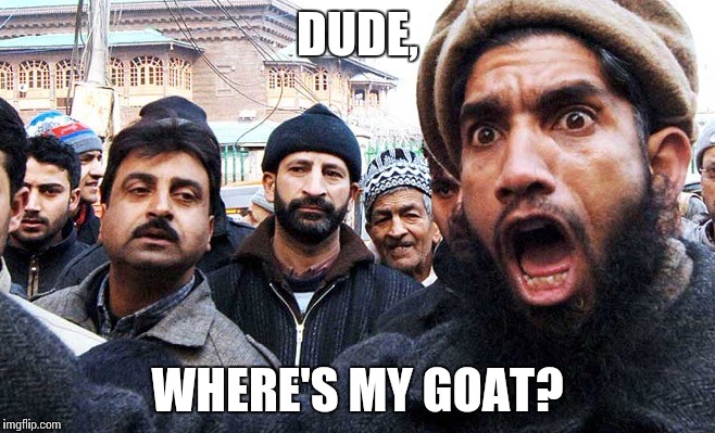 radical muslims | DUDE, WHERE'S MY GOAT? | image tagged in radical muslims | made w/ Imgflip meme maker
