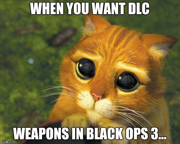 when you want DLC weapons in call of duty
 | WHEN YOU WANT DLC; WEAPONS IN BLACK OPS 3... | image tagged in pretty please cat | made w/ Imgflip meme maker