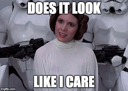 Princess Leia | DOES IT LOOK; LIKE I CARE | image tagged in princess leia | made w/ Imgflip meme maker