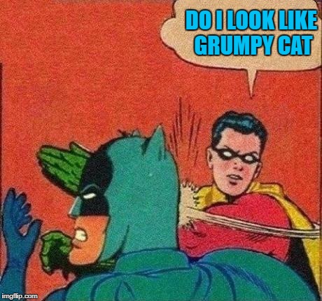 DO I LOOK LIKE GRUMPY CAT | made w/ Imgflip meme maker