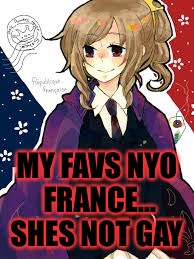 MY FAVS NYO FRANCE... SHES NOT GAY | made w/ Imgflip meme maker