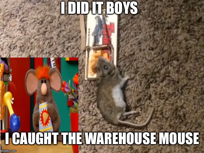 I caught Warehouse Mouse | I DID IT BOYS; I CAUGHT THE WAREHOUSE MOUSE | image tagged in warehouse,mouse,mousetrap,death,aaaaand its gone,first world problems | made w/ Imgflip meme maker