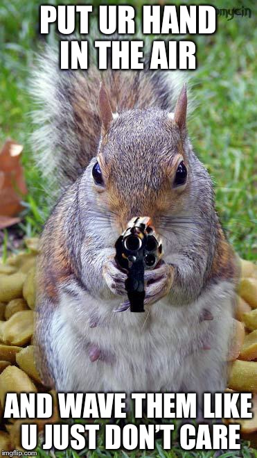 funny squirrels with guns (5) | PUT UR HAND IN THE AIR; AND WAVE THEM LIKE U JUST DON’T CARE | image tagged in funny squirrels with guns 5 | made w/ Imgflip meme maker
