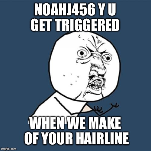 Y U No | NOAHJ456 Y U GET TRIGGERED; WHEN WE MAKE OF YOUR HAIRLINE | image tagged in memes,y u no | made w/ Imgflip meme maker