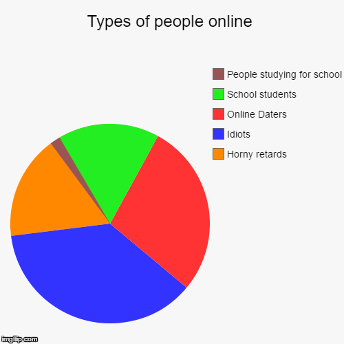 Types of people online | Horny retards, Idiots, Online Daters, School students, People studying for school | image tagged in funny,pie charts | made w/ Imgflip chart maker