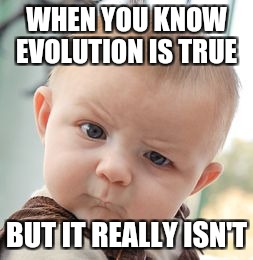 Skeptical Baby Meme | WHEN YOU KNOW EVOLUTION IS TRUE; BUT IT REALLY ISN'T | image tagged in memes,skeptical baby | made w/ Imgflip meme maker