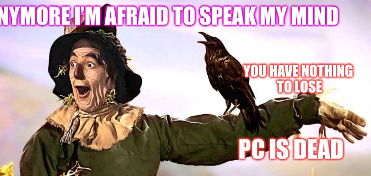 Fear Of Approval  | ANYMORE I’M AFRAID TO SPEAK MY MIND; YOU HAVE NOTHING TO LOSE; PC IS DEAD | image tagged in based strawman,fear,strawman | made w/ Imgflip meme maker
