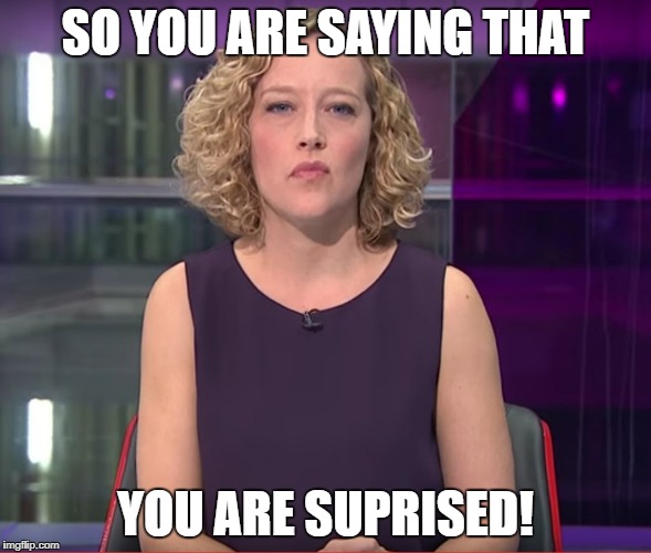 kathy newman | SO YOU ARE SAYING THAT; YOU ARE SUPRISED! | image tagged in kathy newman | made w/ Imgflip meme maker