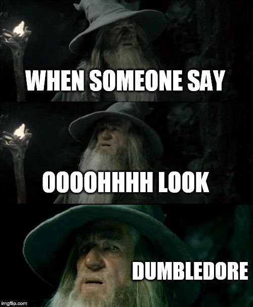 Confused Gandalf Meme | WHEN SOMEONE SAY; OOOOHHHH LOOK; DUMBLEDORE | image tagged in memes,confused gandalf | made w/ Imgflip meme maker