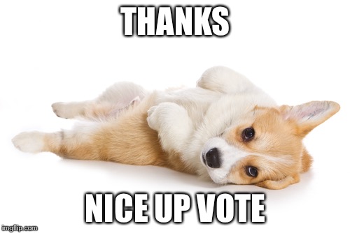 Give me a belly rub | THANKS NICE UP VOTE | image tagged in give me a belly rub | made w/ Imgflip meme maker
