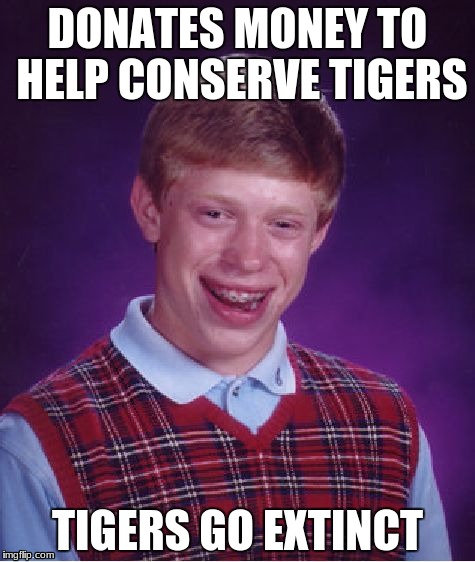 Bad Luck Brian | DONATES MONEY TO HELP CONSERVE TIGERS; TIGERS GO EXTINCT | image tagged in memes,bad luck brian | made w/ Imgflip meme maker