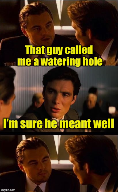 Bad Pun | That guy called me a watering hole; I’m sure he meant well | image tagged in memes,inception,well,bad pun | made w/ Imgflip meme maker