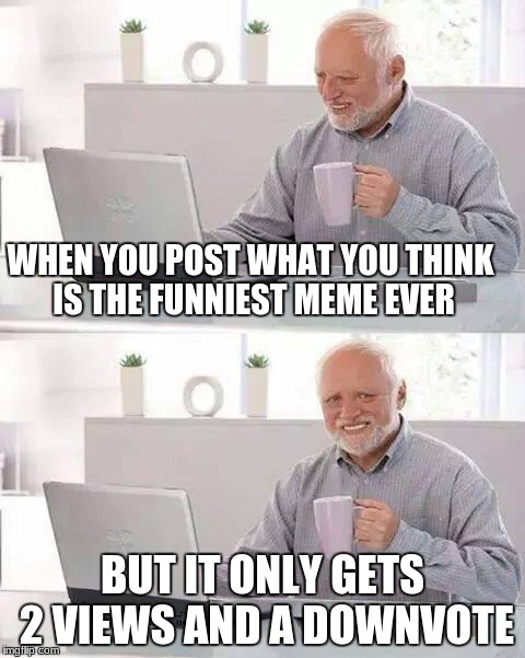 So just up vote!(: | WHEN YOU POST WHAT YOU THINK IS THE FUNNIEST MEME EVER; BUT IT ONLY GETS 2 VIEWS AND A DOWNVOTE | image tagged in memes,hide the pain harold,downvote,pain,views | made w/ Imgflip meme maker