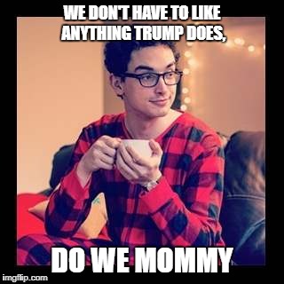 Never Trump Pajama Boy | WE DON'T HAVE TO LIKE ANYTHING TRUMP DOES, DO WE MOMMY | image tagged in donald trump | made w/ Imgflip meme maker