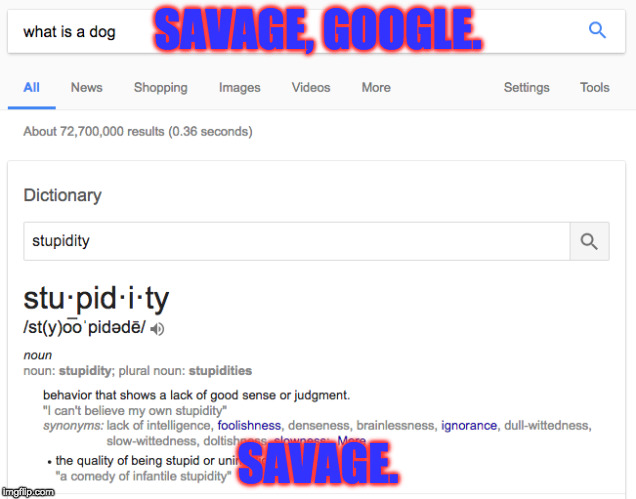Yes, it was staged | SAVAGE, GOOGLE. SAVAGE. | image tagged in memes,funny,google,google memes,stupidity,dictionary | made w/ Imgflip meme maker