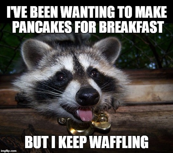 Pass the syrup? | I'VE BEEN WANTING TO MAKE PANCAKES FOR BREAKFAST; BUT I KEEP WAFFLING | image tagged in lame pun coon,lame pun,breakfast,evil plotting raccoon | made w/ Imgflip meme maker
