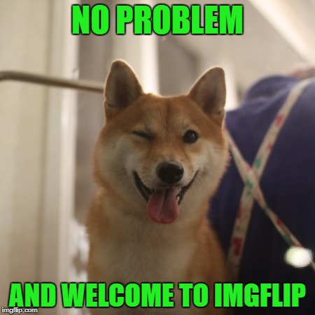 NO PROBLEM AND WELCOME TO IMGFLIP | made w/ Imgflip meme maker