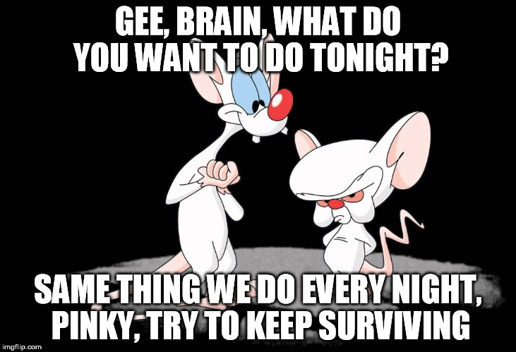 GEE, BRAIN, WHAT DO YOU WANT TO DO TONIGHT? SAME THING WE DO EVERY NIGHT, PINKY, TRY TO KEEP SURVIVING | made w/ Imgflip meme maker