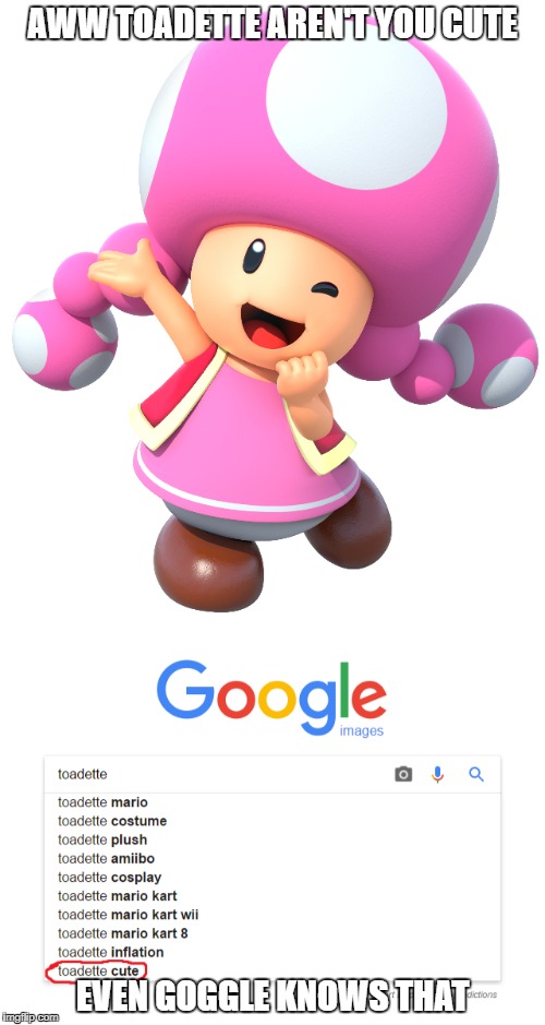 Even Google Knows That Toadette Is So Cute :3 | AWW TOADETTE AREN'T YOU CUTE; EVEN GOGGLE KNOWS THAT | image tagged in mario,toad,toadette,cute,google search,video games | made w/ Imgflip meme maker