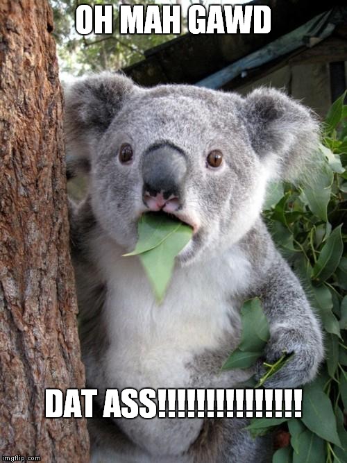 Surprised Koala | OH MAH GAWD; DAT ASS!!!!!!!!!!!!!!! | image tagged in memes,surprised koala | made w/ Imgflip meme maker