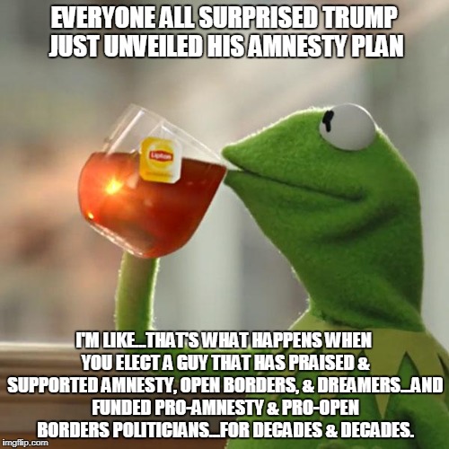 But That's None Of My Business | EVERYONE ALL SURPRISED TRUMP JUST UNVEILED HIS AMNESTY PLAN; I'M LIKE...THAT'S WHAT HAPPENS WHEN YOU ELECT A GUY THAT HAS PRAISED & SUPPORTED AMNESTY, OPEN BORDERS, & DREAMERS...AND FUNDED PRO-AMNESTY & PRO-OPEN BORDERS POLITICIANS...FOR DECADES & DECADES. | image tagged in memes,but thats none of my business,kermit the frog | made w/ Imgflip meme maker