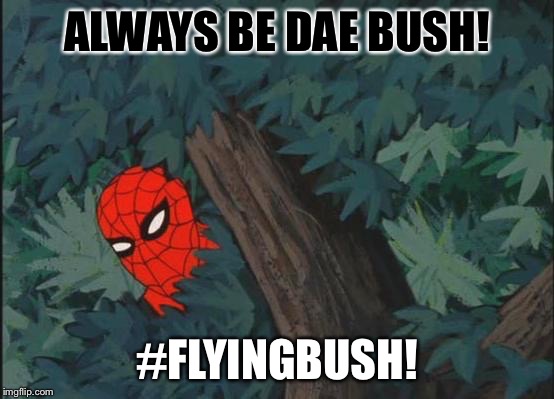 Hiding in bushes Spider-Man | ALWAYS BE DAE BUSH! #FLYINGBUSH! | image tagged in hiding in bushes spider-man | made w/ Imgflip meme maker