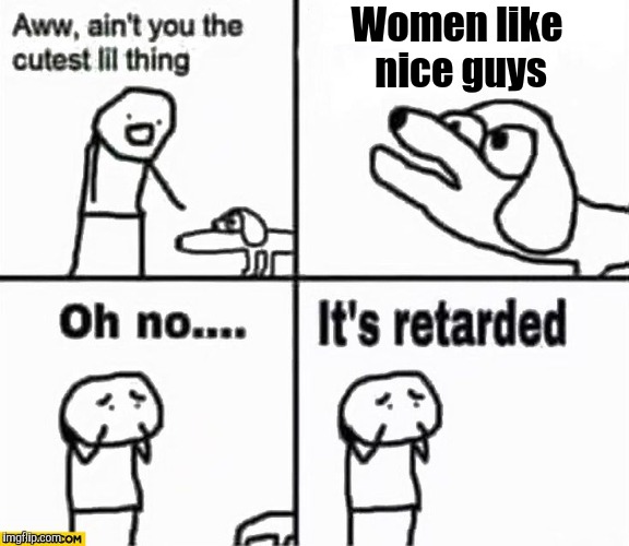 Oh no it's retarded! | Women like nice guys | image tagged in oh no it's retarded | made w/ Imgflip meme maker