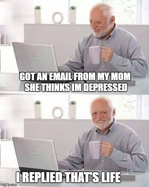 Email From Mom | GOT AN EMAIL FROM MY MOM SHE THINKS IM DEPRESSED; I REPLIED THAT'S LIFE | image tagged in memes,hide the pain harold | made w/ Imgflip meme maker