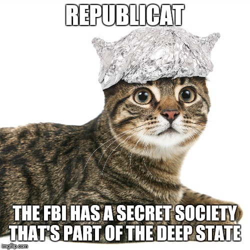 REPUBLICAT; THE FBI HAS A SECRET SOCIETY THAT'S PART OF THE DEEP STATE | image tagged in cat foil | made w/ Imgflip meme maker