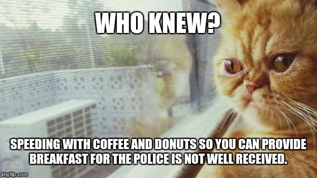 who knew  | WHO KNEW? SPEEDING WITH COFFEE AND DONUTS SO YOU CAN PROVIDE BREAKFAST FOR THE POLICE IS NOT WELL RECEIVED. | image tagged in who knew | made w/ Imgflip meme maker