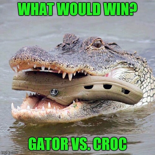 Laws of nature | WHAT WOULD WIN? GATOR VS. CROC | image tagged in gator,crocs,pipe_picasso | made w/ Imgflip meme maker