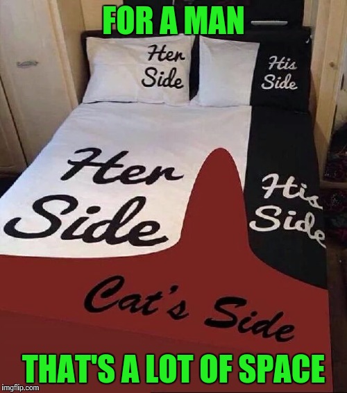 For sheets sake | FOR A MAN; THAT'S A LOT OF SPACE | image tagged in bed,sheets,pipe_picasso | made w/ Imgflip meme maker