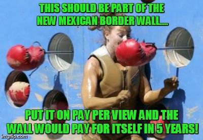 Mexican border | THIS SHOULD BE PART OF THE NEW MEXICAN BORDER WALL.... PUT IT ON PAY PER VIEW AND THE WALL WOULD PAY FOR ITSELF IN 5 YEARS! | image tagged in border wall,trump | made w/ Imgflip meme maker