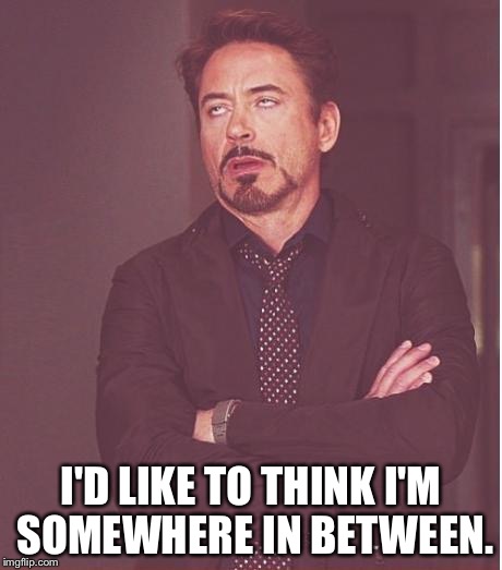 Face You Make Robert Downey Jr Meme | I'D LIKE TO THINK I'M SOMEWHERE IN BETWEEN. | image tagged in memes,face you make robert downey jr | made w/ Imgflip meme maker