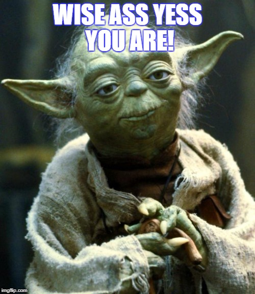 Star Wars Yoda Meme | WISE ASS YESS YOU ARE! | image tagged in memes,star wars yoda | made w/ Imgflip meme maker